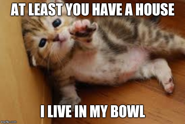 AT LEAST YOU HAVE A HOUSE I LIVE IN MY BOWL | made w/ Imgflip meme maker