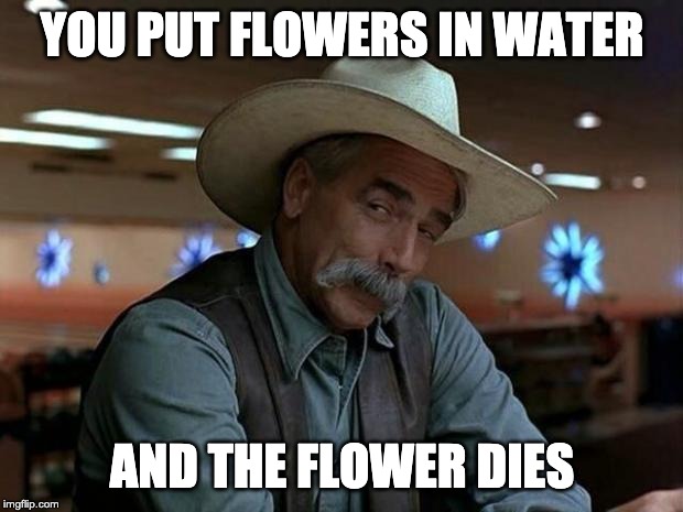 special kind of stupid | YOU PUT FLOWERS IN WATER AND THE FLOWER DIES | image tagged in special kind of stupid | made w/ Imgflip meme maker