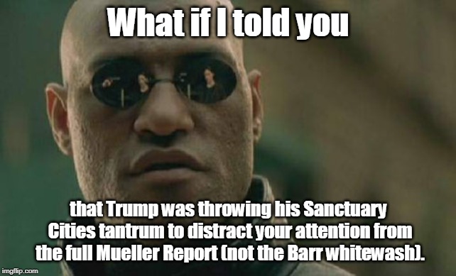 Matrix Morpheus | What if I told you; that Trump was throwing his Sanctuary Cities tantrum to distract your attention from the full Mueller Report (not the Barr whitewash). | image tagged in memes,matrix morpheus,sanctuary cities,mueller,barr | made w/ Imgflip meme maker