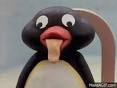 High Quality pingu Blank Meme Template