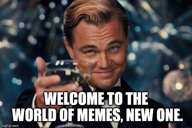 WELCOME TO THE WORLD OF MEMES, NEW ONE. | image tagged in memes,leonardo dicaprio cheers | made w/ Imgflip meme maker
