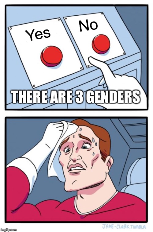 Two Buttons | No; Yes; THERE ARE 3 GENDERS | image tagged in memes,two buttons | made w/ Imgflip meme maker