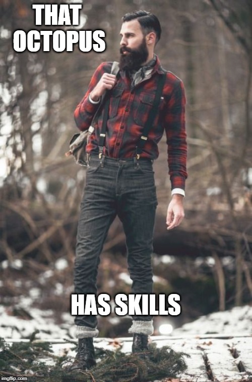 HIPSTER LUMBERJACK | THAT OCTOPUS HAS SKILLS | image tagged in hipster lumberjack | made w/ Imgflip meme maker