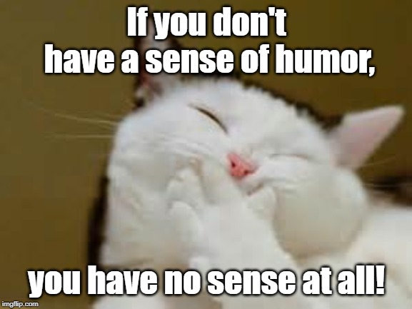 cat silly | If you don't have a sense of humor, you have no sense at all! | image tagged in cat silly | made w/ Imgflip meme maker
