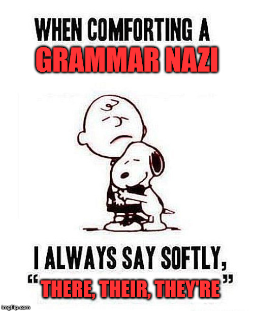 Comforting isn't it? | GRAMMAR NAZI; THERE, THEIR, THEY'RE | image tagged in grammar nazi,peanuts,charlie brown,snoopy,comfort | made w/ Imgflip meme maker