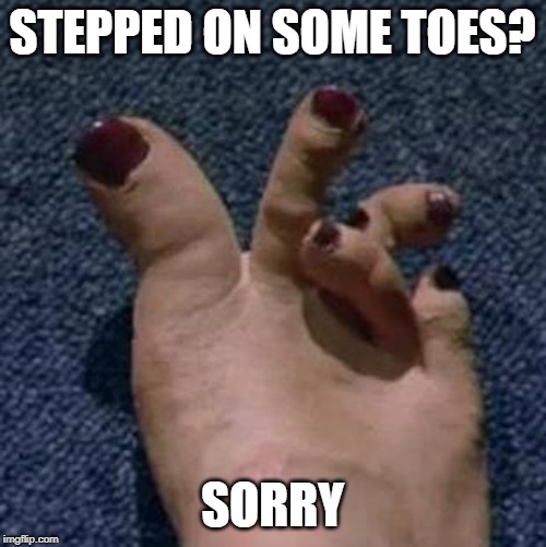 Sister's Toes | STEPPED ON SOME TOES? SORRY | image tagged in sister's toes | made w/ Imgflip meme maker