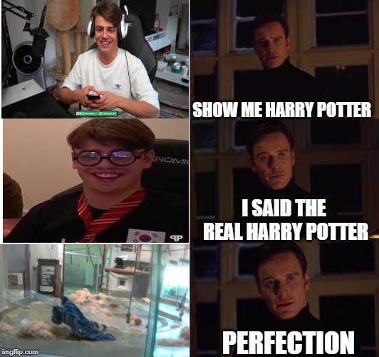 perfection | SHOW ME HARRY POTTER; I SAID THE REAL HARRY POTTER; PERFECTION | image tagged in perfection | made w/ Imgflip meme maker