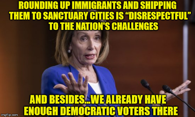 Nancy Pelosi | ROUNDING UP IMMIGRANTS AND SHIPPING   THEM TO SANCTUARY CITIES IS “DISRESPECTFUL”            TO THE NATION'S CHALLENGES; AND BESIDES...WE ALREADY HAVE   ENOUGH DEMOCRATIC VOTERS THERE | image tagged in nancy pelosi,memes,illegal immigrants,disrespect,democrats,trump | made w/ Imgflip meme maker