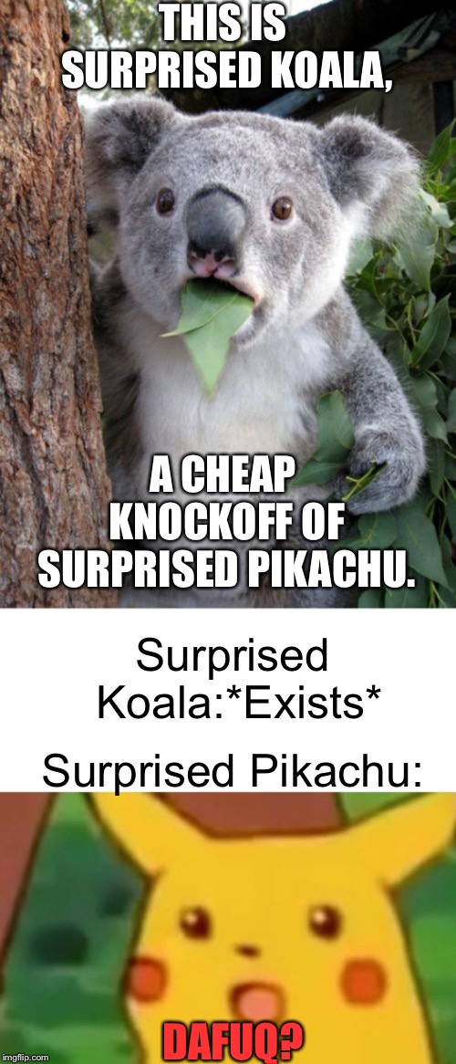 When Someone Copies You | THIS IS SURPRISED KOALA, A CHEAP KNOCKOFF OF SURPRISED PIKACHU. Surprised Koala:*Exists*; Surprised Pikachu:; DAFUQ? | image tagged in memes,surprised koala,surprised pikachu,funny | made w/ Imgflip meme maker