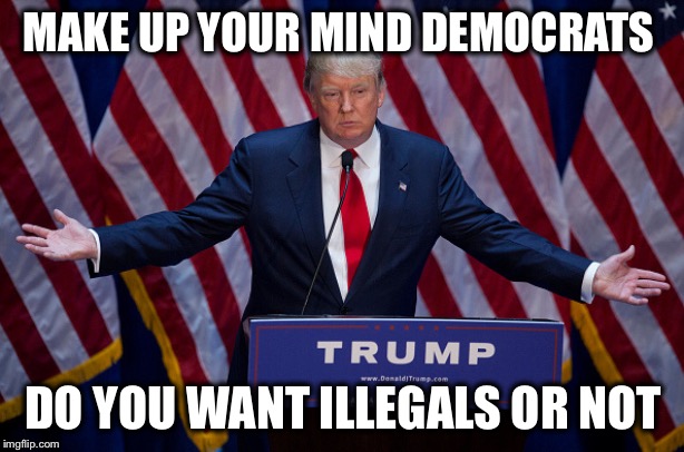 He’s right for calling them out.  They can’t have it both ways... | MAKE UP YOUR MIND DEMOCRATS; DO YOU WANT ILLEGALS OR NOT | image tagged in donald trump,illegal aliens,illegal immigration,democrats | made w/ Imgflip meme maker