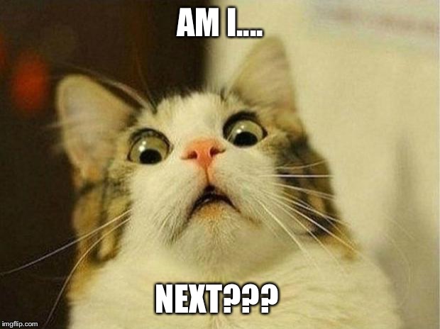 Scared Cat Meme | AM I.... NEXT??? | image tagged in memes,scared cat | made w/ Imgflip meme maker