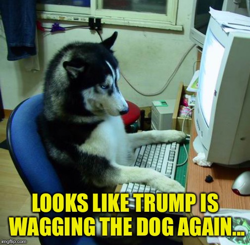 I Have No Idea What I Am Doing Meme | LOOKS LIKE TRUMP IS WAGGING THE DOG AGAIN... | image tagged in memes,i have no idea what i am doing | made w/ Imgflip meme maker