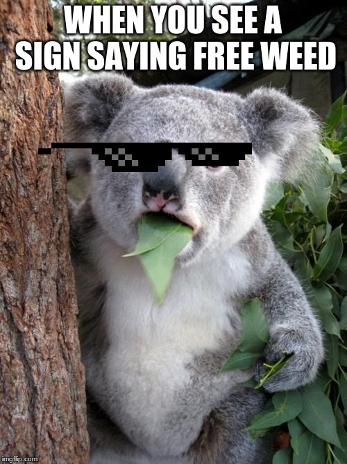 Surprised Koala Meme | WHEN YOU SEE A SIGN SAYING FREE WEED | image tagged in memes,surprised koala | made w/ Imgflip meme maker