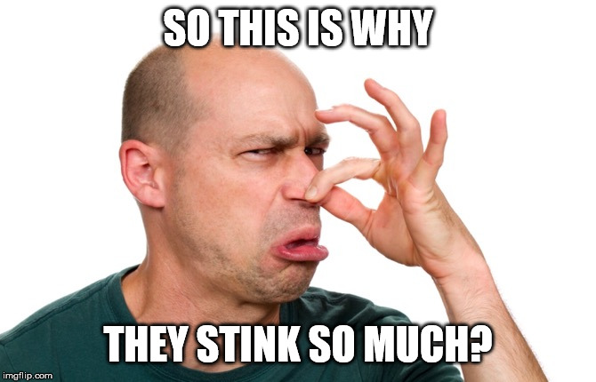 Eeeww | SO THIS IS WHY THEY STINK SO MUCH? | image tagged in eeeww | made w/ Imgflip meme maker