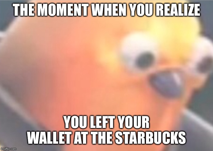 THE MOMENT WHEN YOU REALIZE; YOU LEFT YOUR WALLET AT THE STARBUCKS | image tagged in funny | made w/ Imgflip meme maker