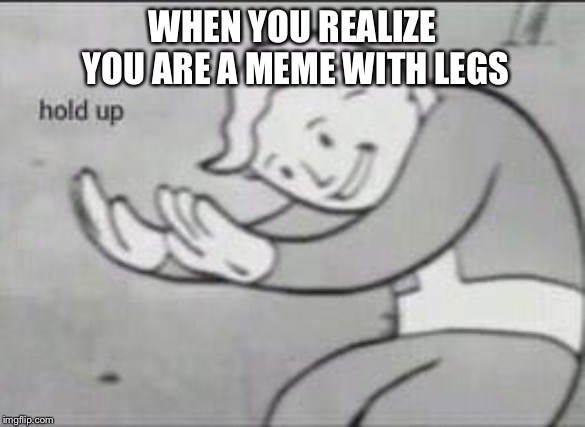 Fallout Hold Up | WHEN YOU REALIZE YOU ARE A MEME WITH LEGS | image tagged in fallout hold up | made w/ Imgflip meme maker