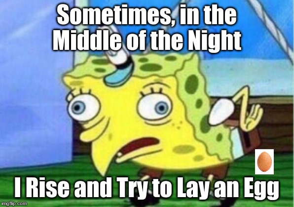 Mocking Spongebob | Sometimes, in the Middle of the Night; I Rise and Try to Lay an Egg | image tagged in memes,mocking spongebob | made w/ Imgflip meme maker