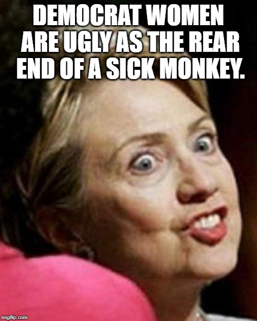 Hillary Clinton Fish | DEMOCRAT WOMEN ARE UGLY AS THE REAR END OF A SICK MONKEY. | image tagged in hillary clinton fish | made w/ Imgflip meme maker