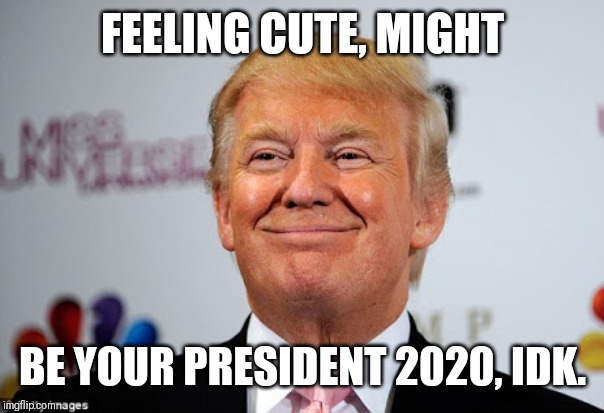 Donald trump approves | FEELING CUTE, MIGHT; BE YOUR PRESIDENT 2020, IDK. | image tagged in donald trump approves | made w/ Imgflip meme maker