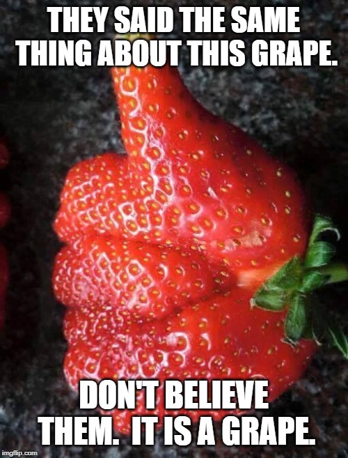 Strawberry Likes It | THEY SAID THE SAME THING ABOUT THIS GRAPE. DON'T BELIEVE THEM.  IT IS A GRAPE. | image tagged in strawberry likes it | made w/ Imgflip meme maker