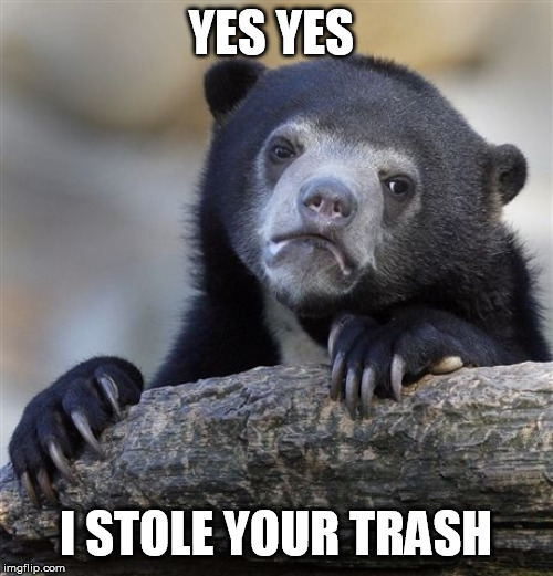 Confession Bear Meme | YES YES I STOLE YOUR TRASH | image tagged in memes,confession bear | made w/ Imgflip meme maker