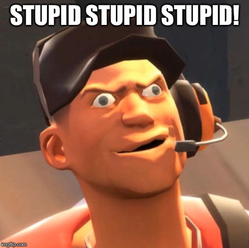 TF2 Scout | STUPID STUPID STUPID! | image tagged in tf2 scout | made w/ Imgflip meme maker