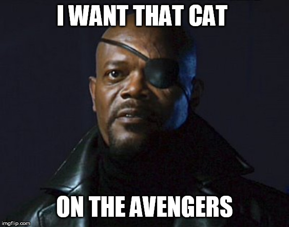 Nick Fury | I WANT THAT CAT ON THE AVENGERS | image tagged in nick fury | made w/ Imgflip meme maker