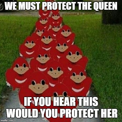 Ugandan knuckles army | WE MUST PROTECT THE QUEEN; IF YOU HEAR THIS WOULD YOU PROTECT HER | image tagged in ugandan knuckles army | made w/ Imgflip meme maker