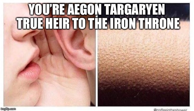 chills | YOU’RE AEGON TARGARYEN TRUE HEIR TO THE IRON THRONE | image tagged in chills | made w/ Imgflip meme maker