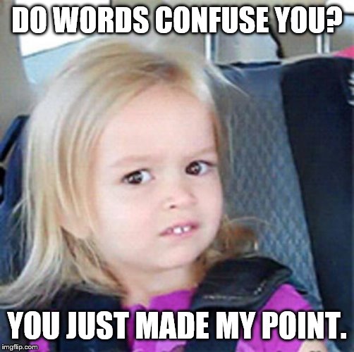 Confused Little Girl | DO WORDS CONFUSE YOU? YOU JUST MADE MY POINT. | image tagged in confused little girl | made w/ Imgflip meme maker