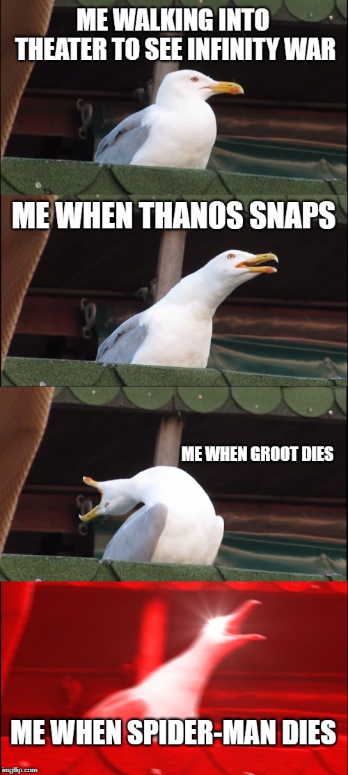 Inhaling Seagull Meme | ME WALKING INTO THEATER TO SEE INFINITY WAR; ME WHEN THANOS SNAPS; ME WHEN GROOT DIES; ME WHEN SPIDER-MAN DIES | image tagged in memes,inhaling seagull | made w/ Imgflip meme maker