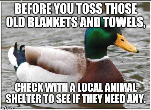 Actual Advice Mallard Meme | BEFORE YOU TOSS THOSE OLD BLANKETS AND TOWELS, CHECK WITH A LOCAL ANIMAL SHELTER TO SEE IF THEY NEED ANY. | image tagged in memes,actual advice mallard,AdviceAnimals | made w/ Imgflip meme maker