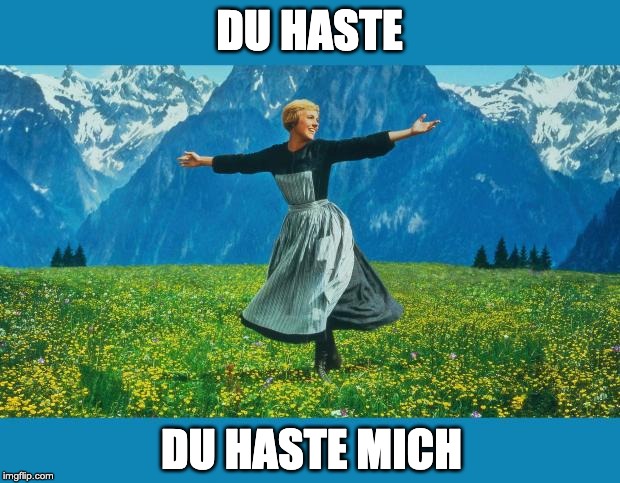 the sound of music happiness | DU HASTE; DU HASTE MICH | image tagged in the sound of music happiness | made w/ Imgflip meme maker