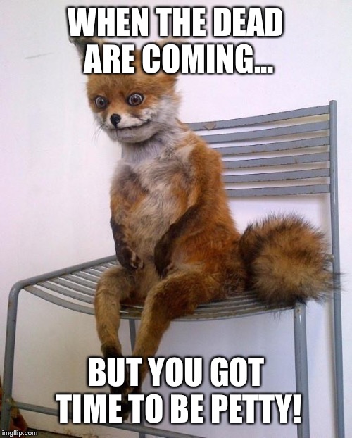 Stoned Fox | WHEN THE DEAD ARE COMING... BUT YOU GOT TIME TO BE PETTY! | image tagged in stoned fox | made w/ Imgflip meme maker