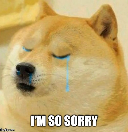 sad doge | I'M SO SORRY | image tagged in sad doge | made w/ Imgflip meme maker