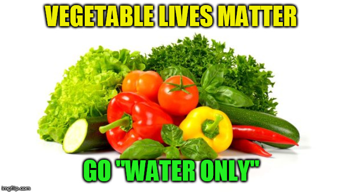 Yeah... I really have to come up with a better name | VEGETABLE LIVES MATTER; GO "WATER ONLY" | image tagged in memes,vegetables,veganism | made w/ Imgflip meme maker