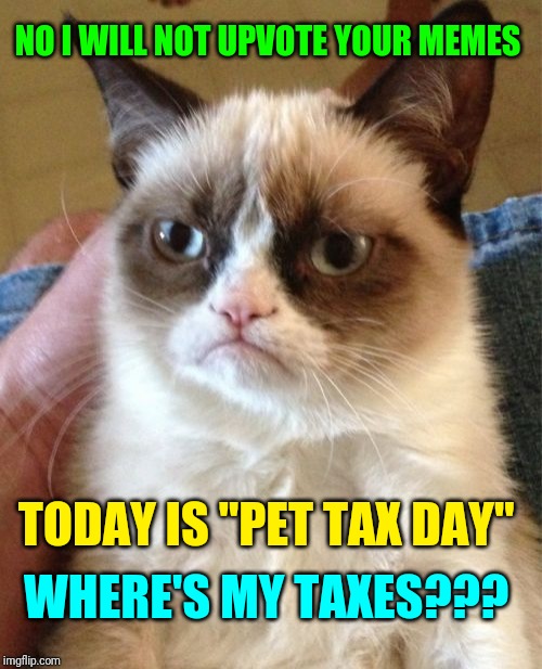 Grumpy Cat Meme | NO I WILL NOT UPVOTE YOUR MEMES TODAY IS "PET TAX DAY" WHERE'S MY TAXES??? | image tagged in memes,grumpy cat | made w/ Imgflip meme maker