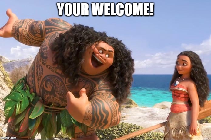 Moana Maui You're Welcome | YOUR WELCOME! | image tagged in moana maui you're welcome | made w/ Imgflip meme maker