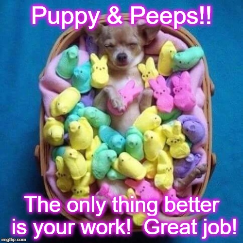 My peeps | Puppy & Peeps!! The only thing better is your work!  Great job! | image tagged in my peeps | made w/ Imgflip meme maker