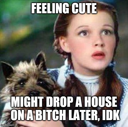 dorothy | FEELING CUTE; MIGHT DROP A HOUSE ON A BITCH LATER, IDK | image tagged in dorothy | made w/ Imgflip meme maker