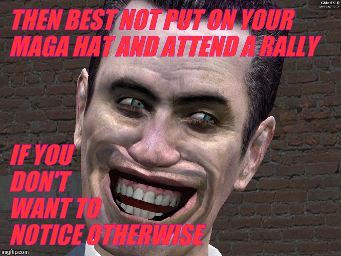 . | THEN BEST NOT PUT ON YOUR MAGA HAT AND ATTEND A RALLY IF YOU         DON'T        WANT TO NOTICE OTHERWISE | image tagged in g-man from half-life | made w/ Imgflip meme maker