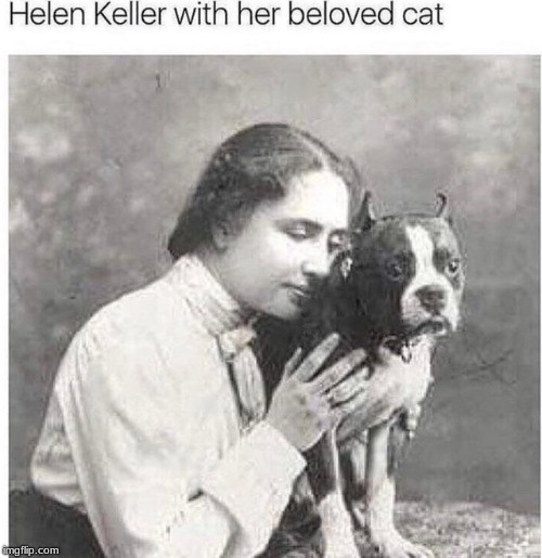 Helen Keller with her cat | image tagged in helen keller with her cat | made w/ Imgflip meme maker