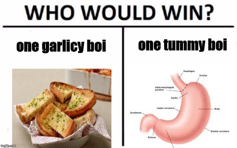 Who Would Win? Meme | one tummy boi; one garlicy boi | image tagged in memes,who would win | made w/ Imgflip meme maker