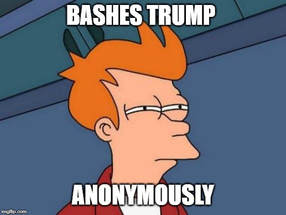 Futurama Fry Meme | BASHES TRUMP ANONYMOUSLY | image tagged in memes,futurama fry | made w/ Imgflip meme maker