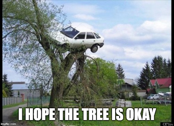 Secure Parking Meme | I HOPE THE TREE IS OKAY | image tagged in memes,secure parking | made w/ Imgflip meme maker