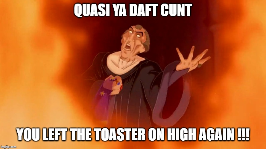 QUASI YA DAFT CUNT; YOU LEFT THE TOASTER ON HIGH AGAIN !!! | image tagged in funny,notre dame,fire | made w/ Imgflip meme maker