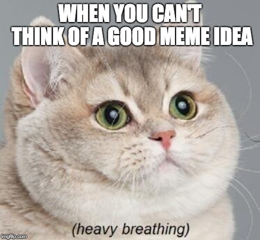 Heavy Breathing Cat Meme | WHEN YOU CAN'T THINK OF A GOOD MEME IDEA | image tagged in memes,heavy breathing cat | made w/ Imgflip meme maker