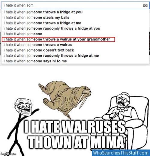 I HATE WALRUSES THOWN AT MIMA | image tagged in grandma | made w/ Imgflip meme maker