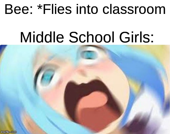 We've all witnessed this during the school year days. | Bee: *Flies into classroom; Middle School Girls: | image tagged in anime girl blur,school,relatable | made w/ Imgflip meme maker