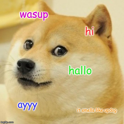 Doge | wasup; hi; hallo; ayyy; it smells like updog | image tagged in memes,doge | made w/ Imgflip meme maker